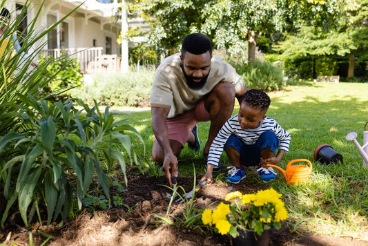 Why Every Backyard Needs a Food Forest (Even in Small Spaces)