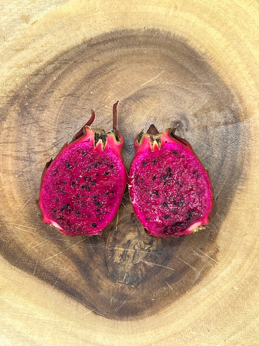 Sugar Dragon S8 Dragon Fruit Cutting/Plant
