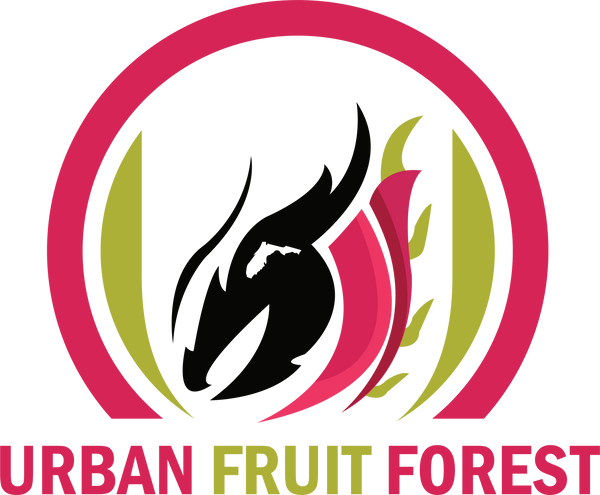 Urban Fruit Forest 